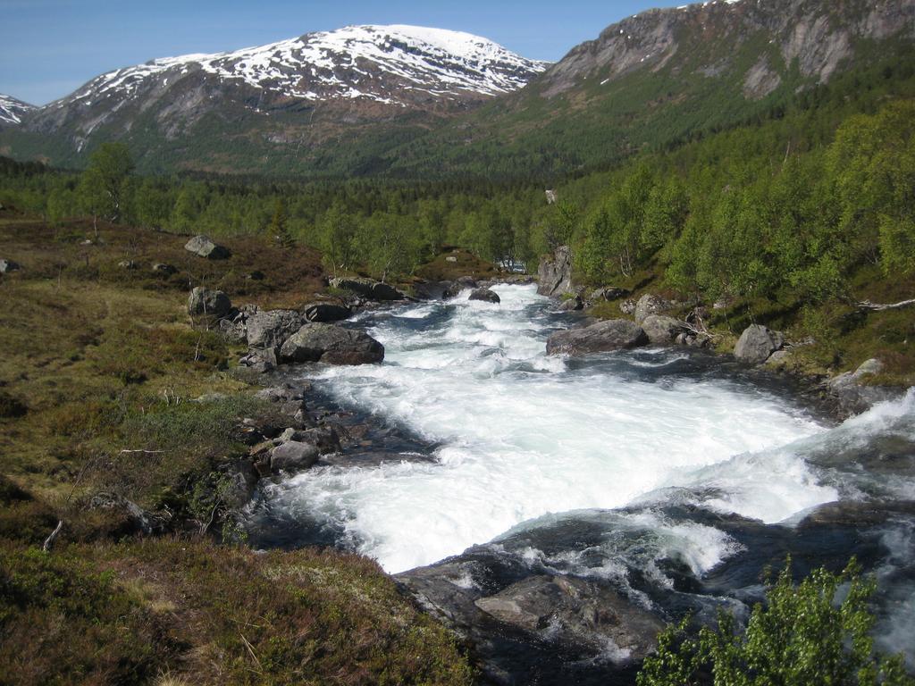 Hov Hyttegrend Viksdalen Exterior foto